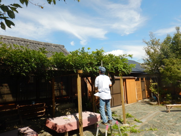 c0367107_17540085.jpg