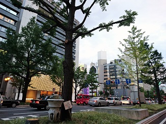 d0091909_12382735.jpg