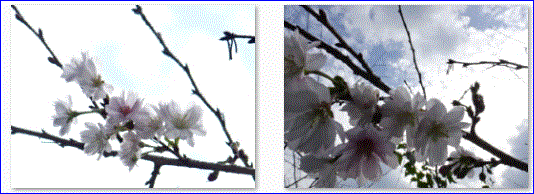 f0231709_235332100.gif