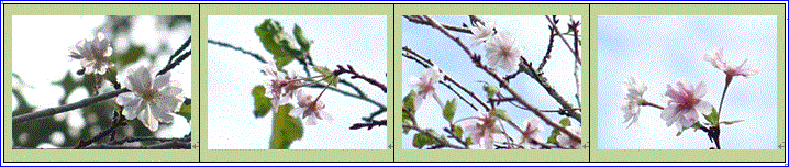 f0231709_2356424.gif