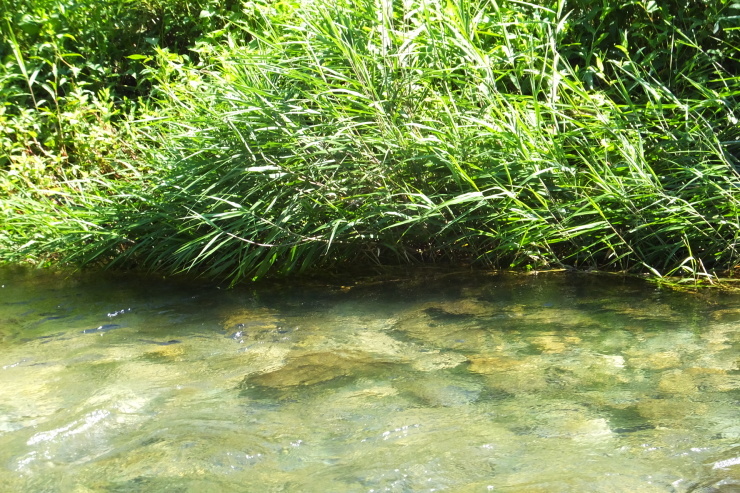 c0232813_16241480.jpg