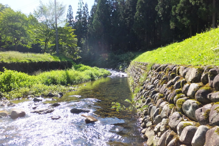 c0232813_16342666.jpg