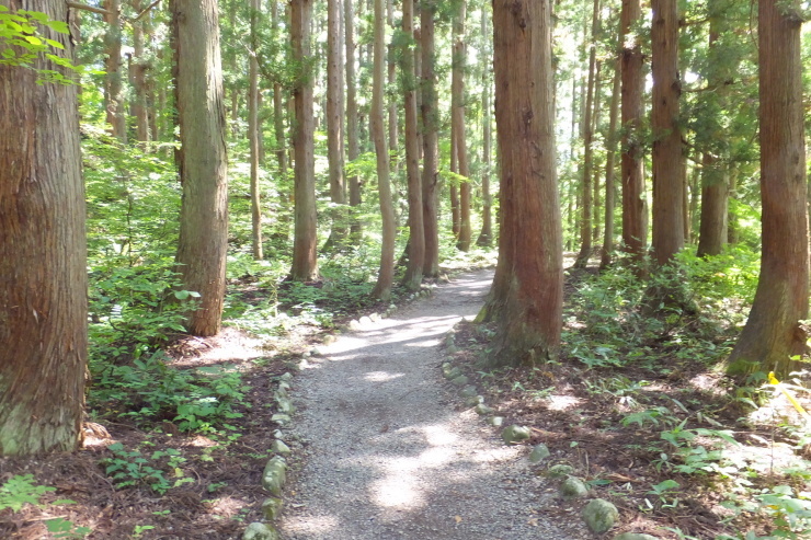 c0232813_16385921.jpg