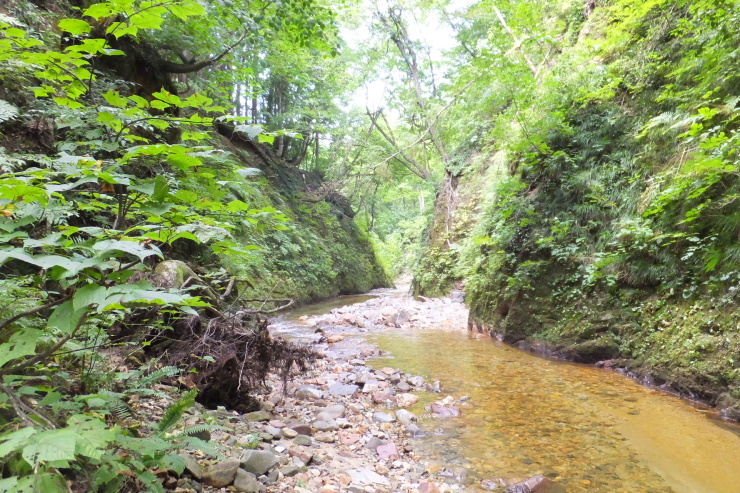 c0232813_17002140.jpg