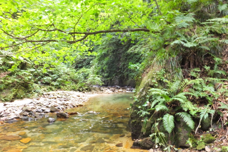 c0232813_17004027.jpg