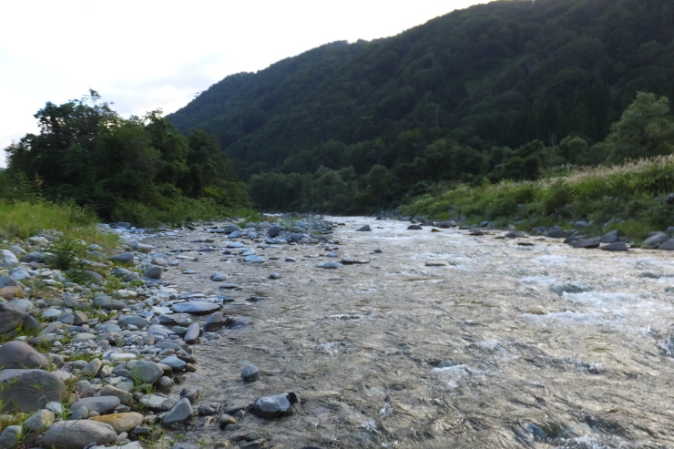 c0232813_17011426.jpg