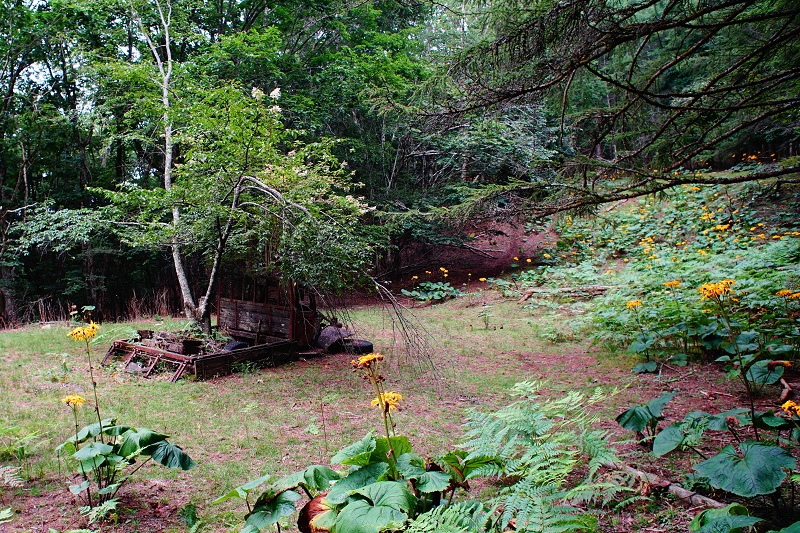 a0047220_9422288.jpg