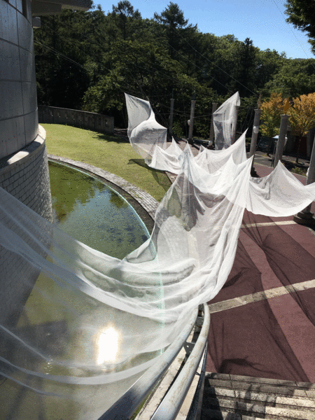 b0123320_15325681.gif