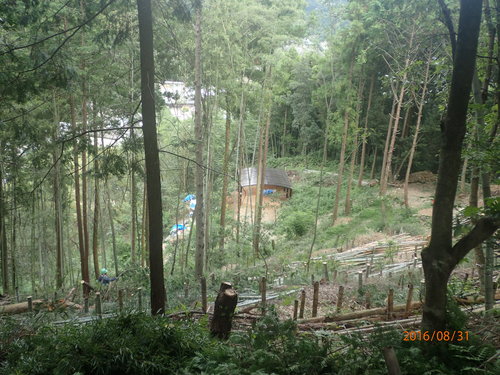 e0138321_424275.jpg