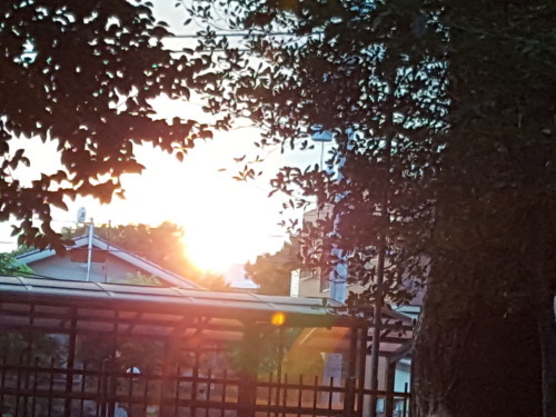 e0016828_10090586.jpg