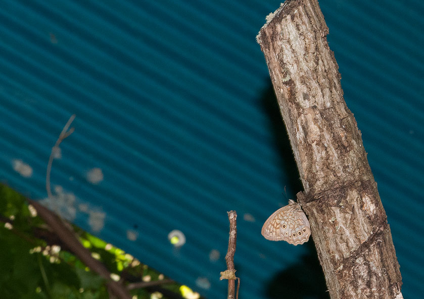 a0126632_15562386.jpg