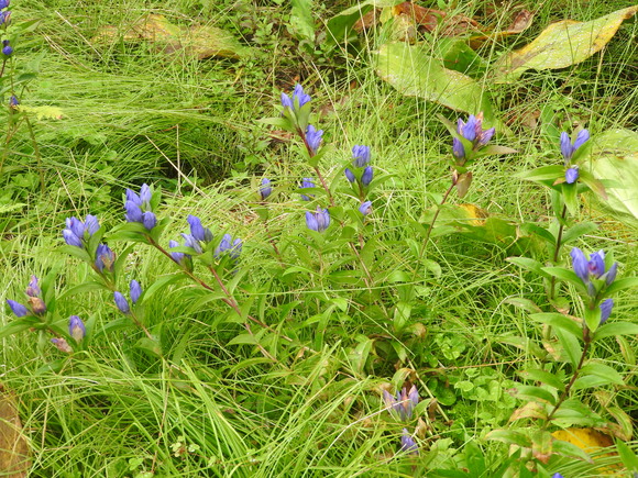 f0118332_23333116.jpg