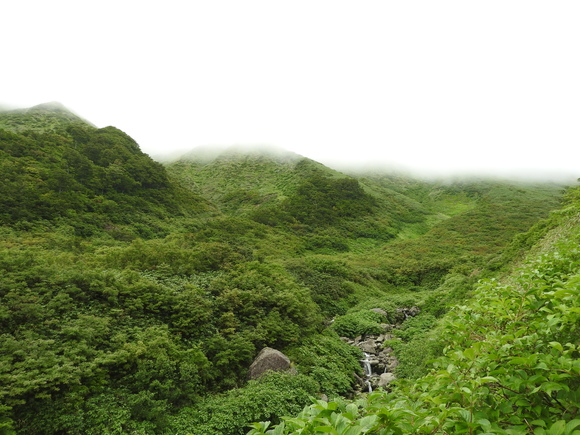 f0118332_23334436.jpg