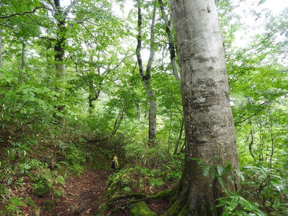 f0118332_23342165.jpg
