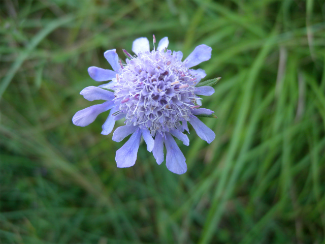 e0272335_18155128.jpg
