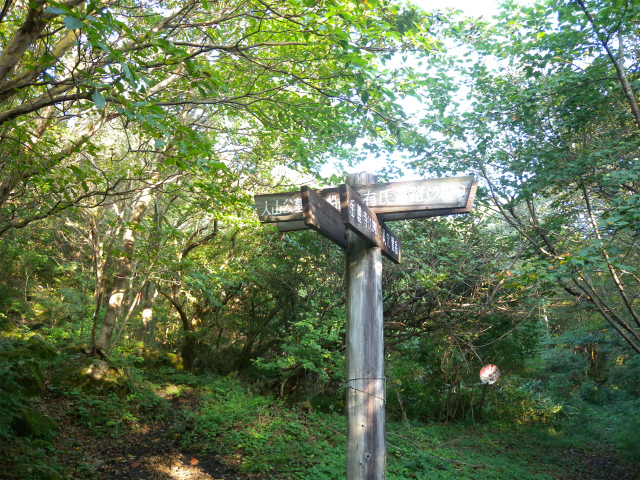 e0272335_18221972.jpg