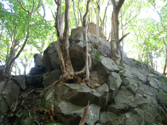 e0272335_18261086.jpg