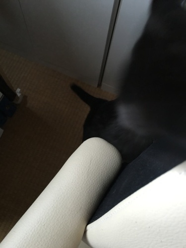 b0341440_14134185.jpeg