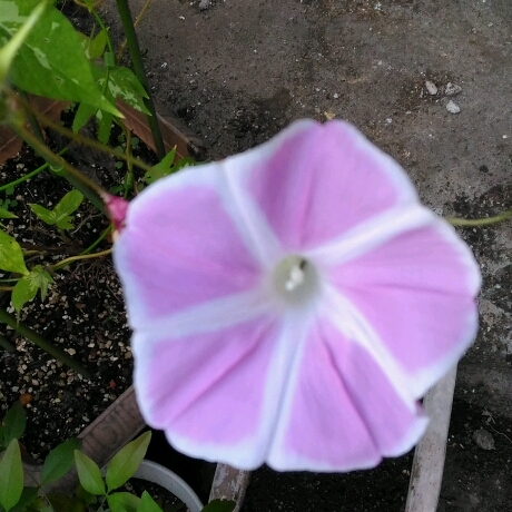 d0343540_16511444.jpg
