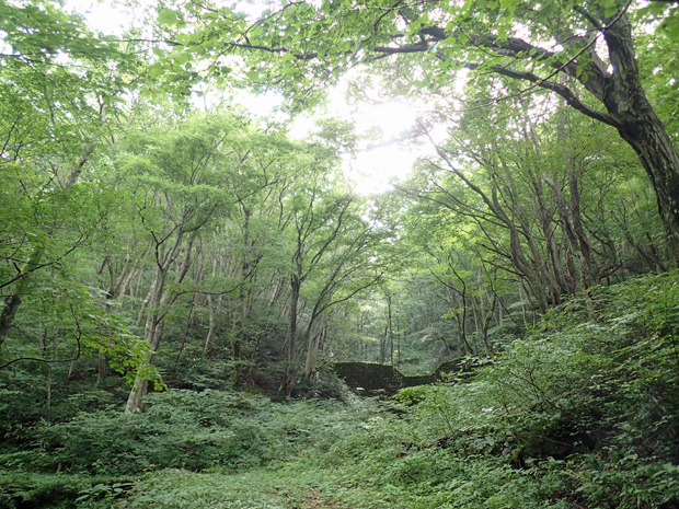 f0214649_5165516.jpg
