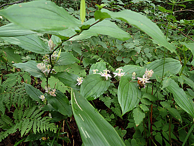 f0214649_5244928.jpg