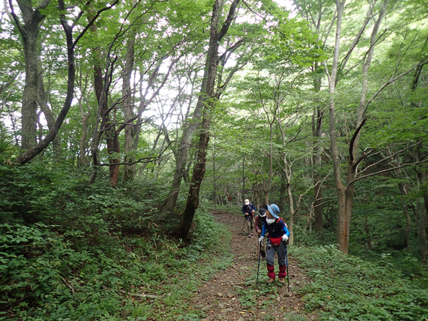 f0214649_5261630.jpg