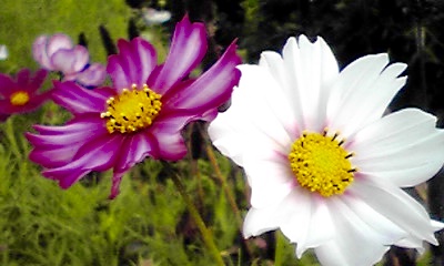 d0205250_0325713.jpg
