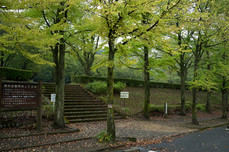 d0342652_543685.jpg