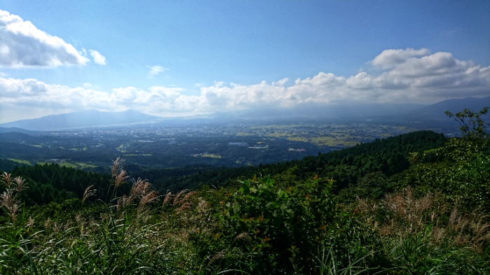 b0024261_16351231.jpg