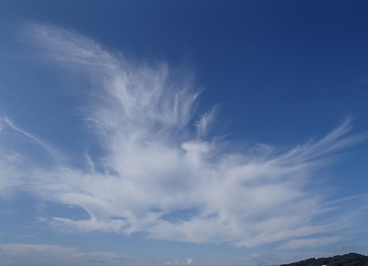 e0108765_18284178.jpg