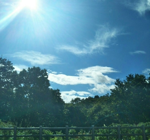 c0311170_21155376.jpg