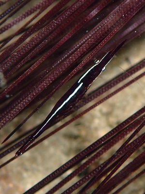 b0033573_19221013.jpg