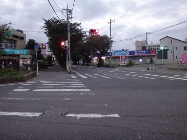 a0113874_991482.jpg