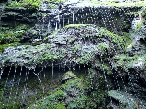 f0372285_19420303.jpg