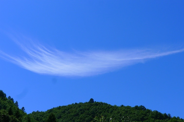 a0130586_19571984.jpg