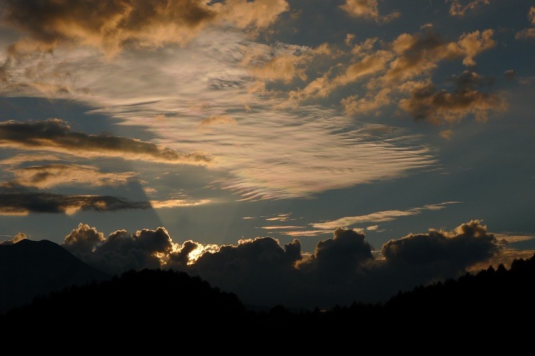 a0130586_2022860.jpg