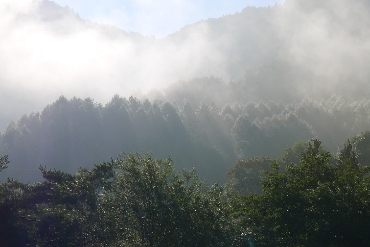 a0130586_8395650.jpg