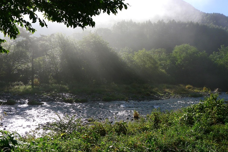 a0130586_83997.jpg