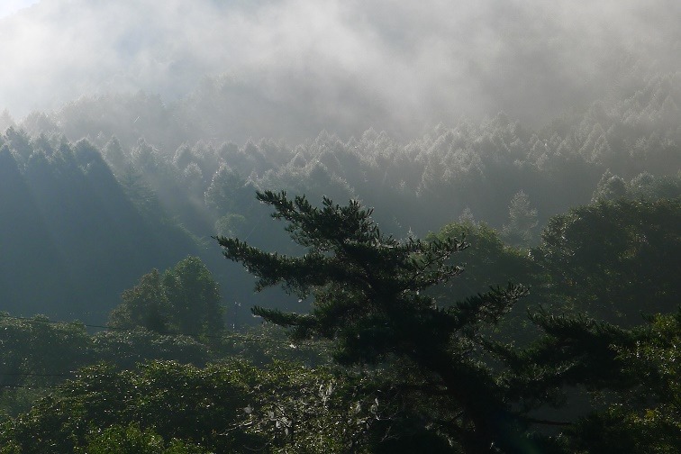 a0130586_8403211.jpg