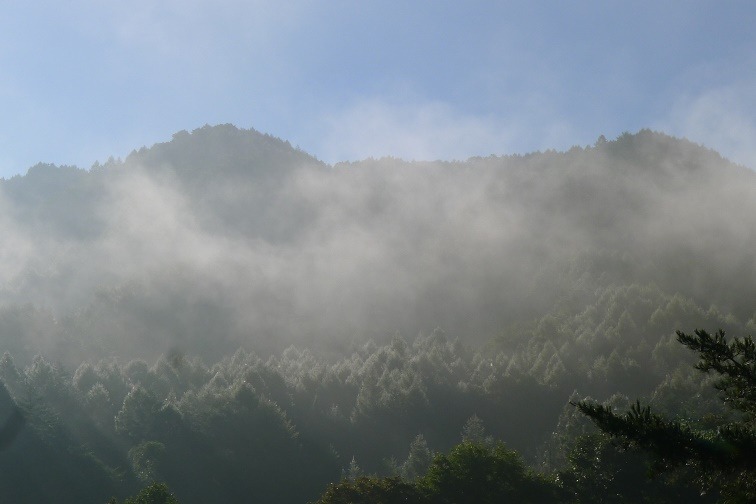 a0130586_841519.jpg
