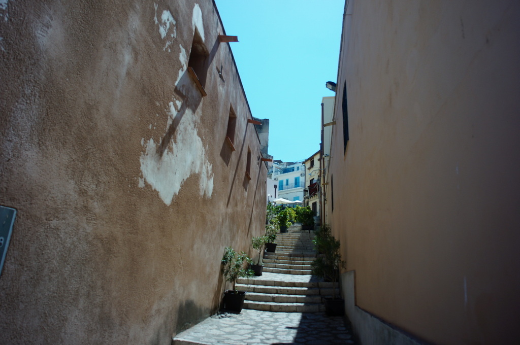 c0180686_17100796.jpg