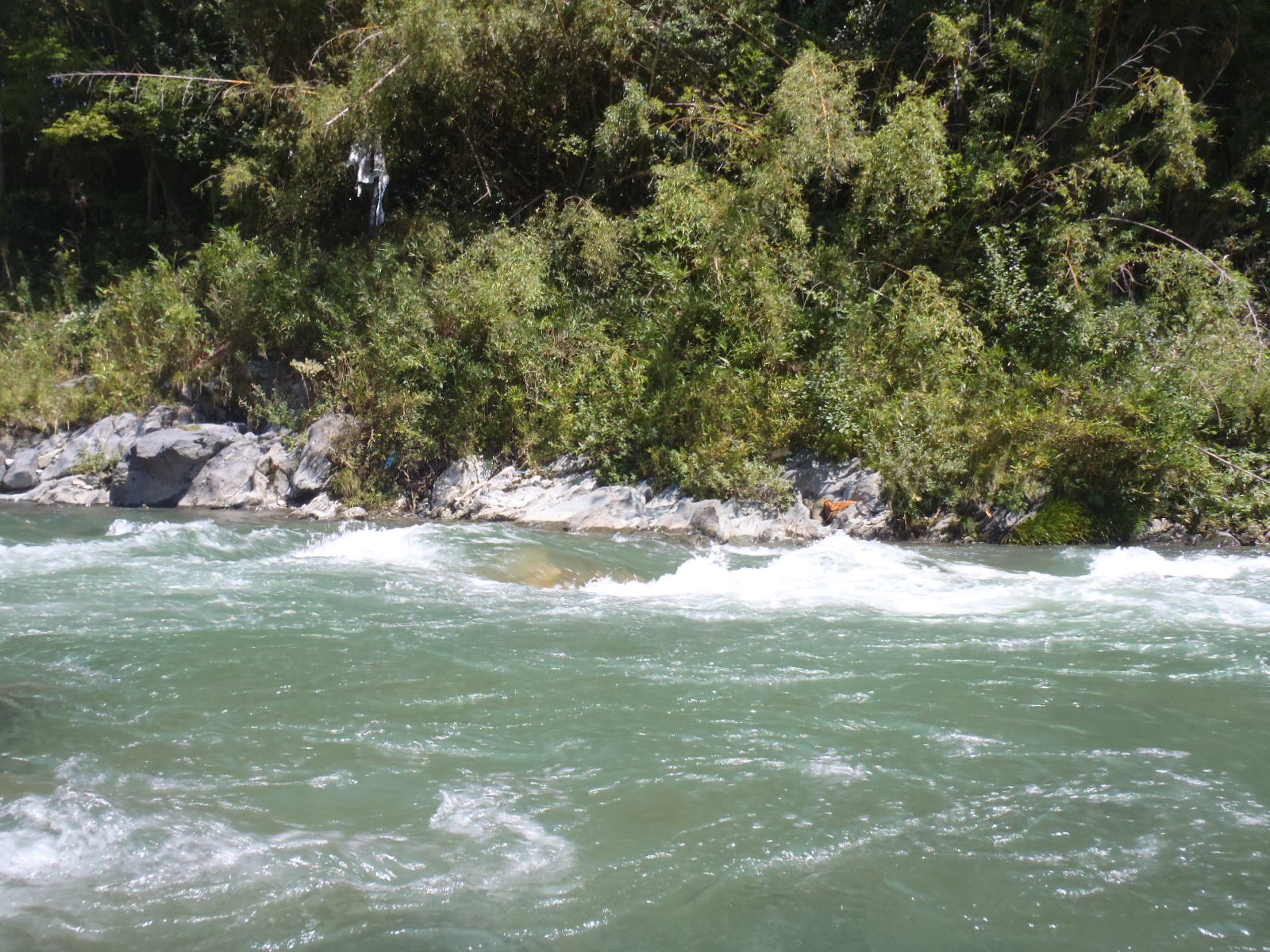 b0139489_2054139.jpg