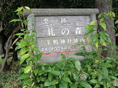 b0030191_9494389.jpg