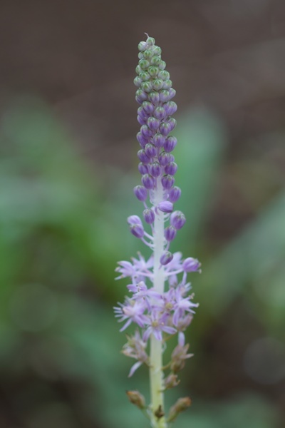 e0040092_12043289.jpg