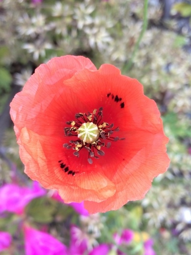 f0201297_09201580.jpg