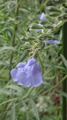 e0351303_16585404.jpg