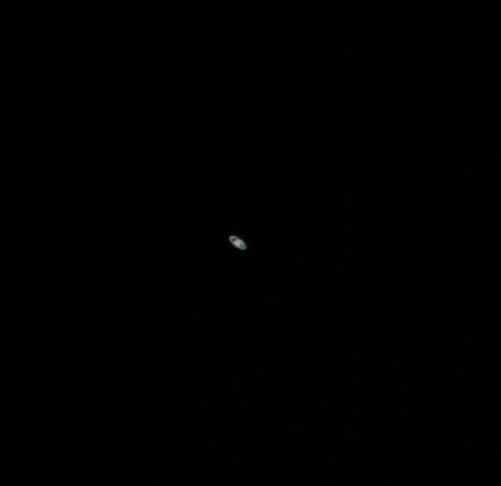 c0156404_21191224.jpg