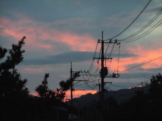 e0078404_13354959.jpg