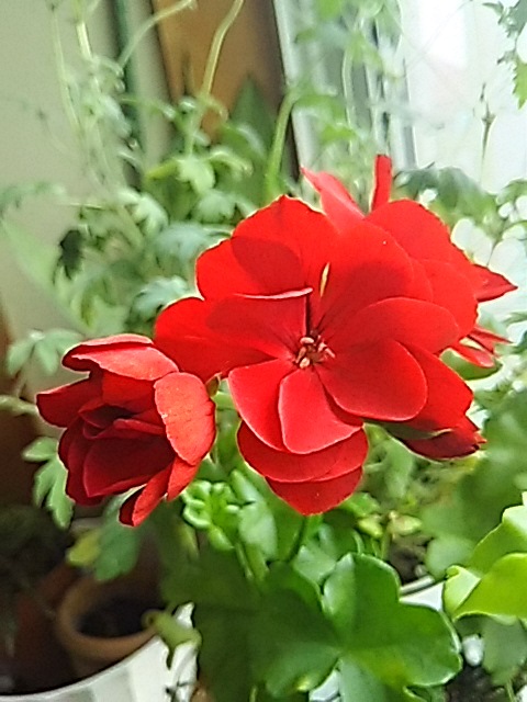 f0316507_18425827.jpg