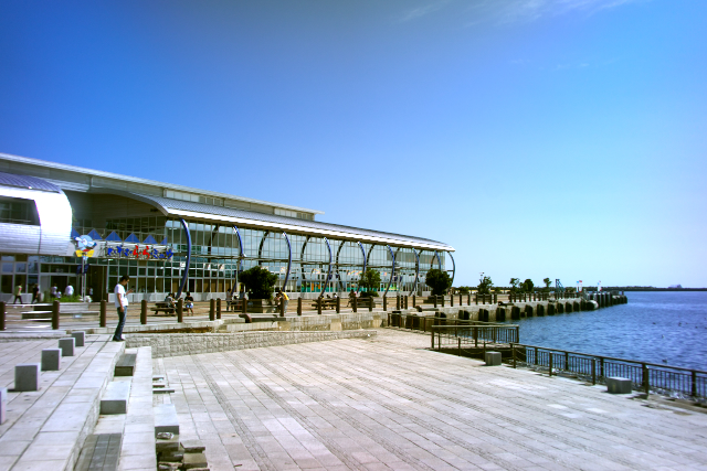 d0143011_221498.jpg
